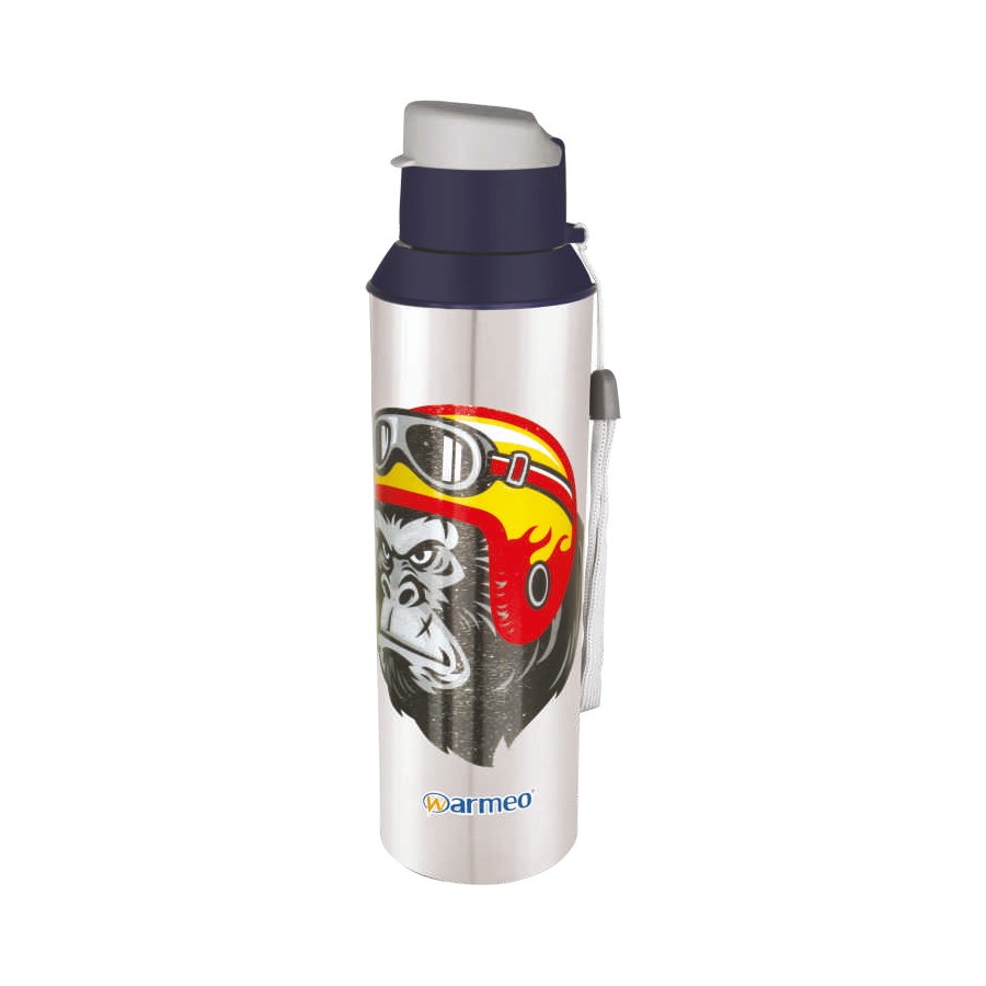 Warmeo Glassy Tumbler - 400 ml